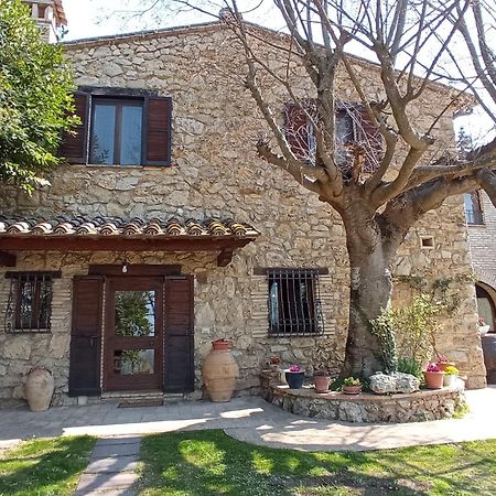 All'Ombra Di San Damiano 阿西西 外观 照片