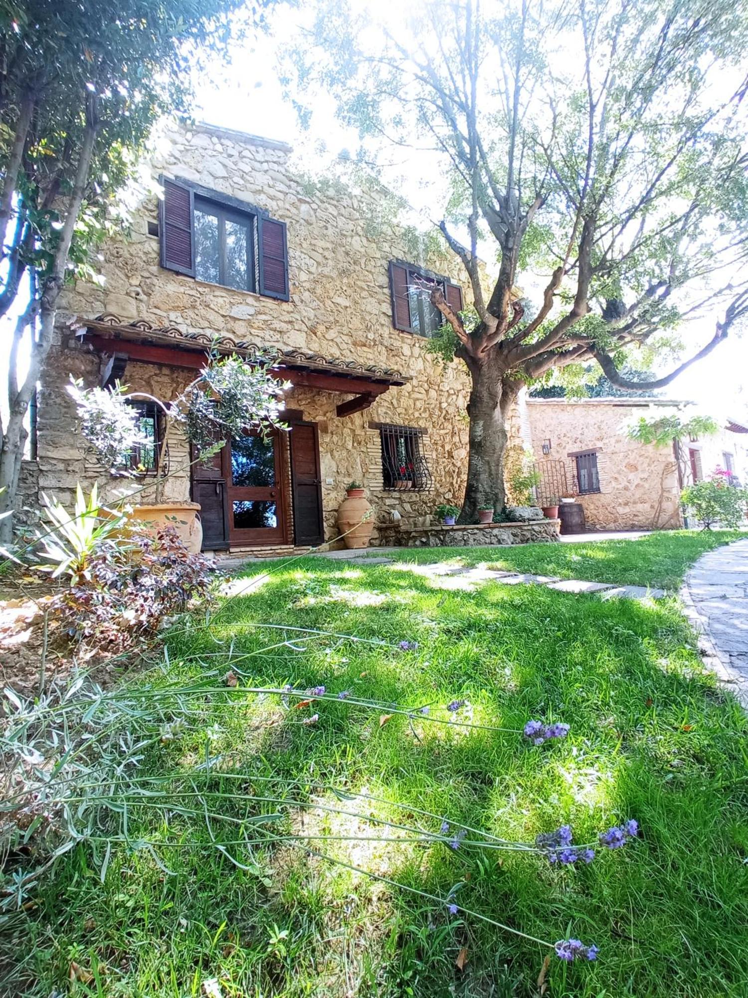 All'Ombra Di San Damiano 阿西西 外观 照片