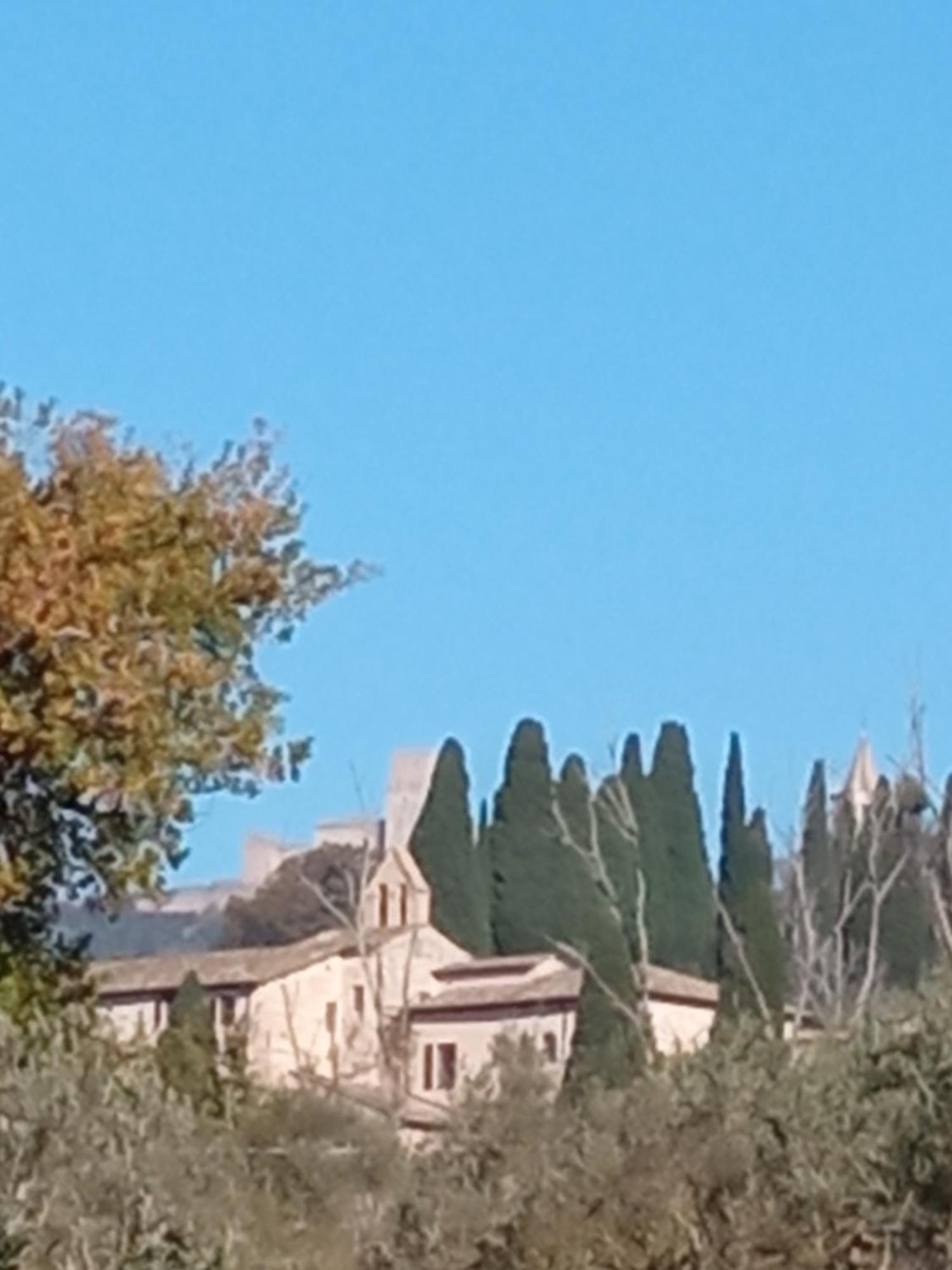 All'Ombra Di San Damiano 阿西西 外观 照片
